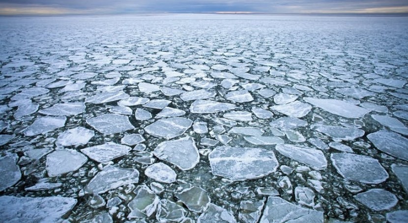 Microplastics may affect how Arctic sea ice forms and melts
