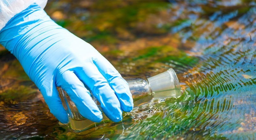 Measuring endocrine disruptors in wastewater