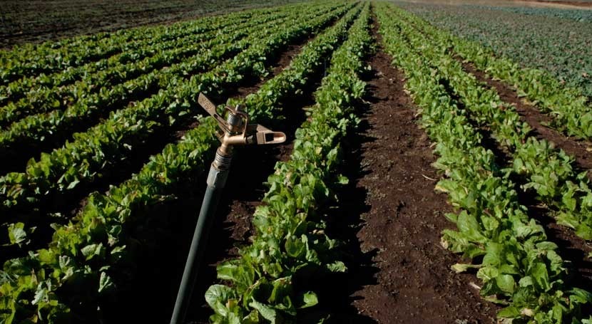 Irrigation in Turkey to be modernized with World Bank financing