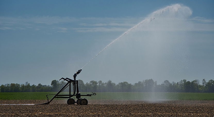 ‘Forever Chemicals’ persist through wastewater treatment, may enter crops
