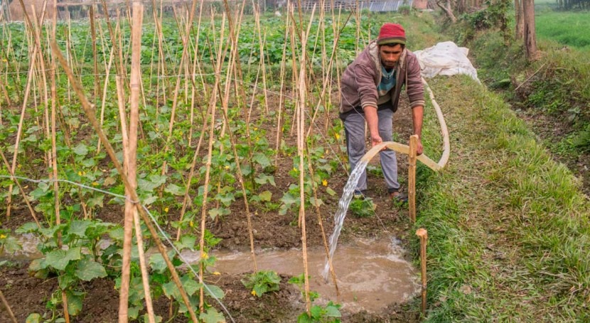 Grantees from South Asia awarded funds to develop innovations enhancing solar irrigation