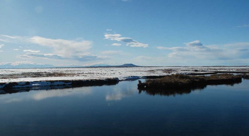 Argentina extends the boundaries of the Wetland of International Importance Laguna Llancanelo