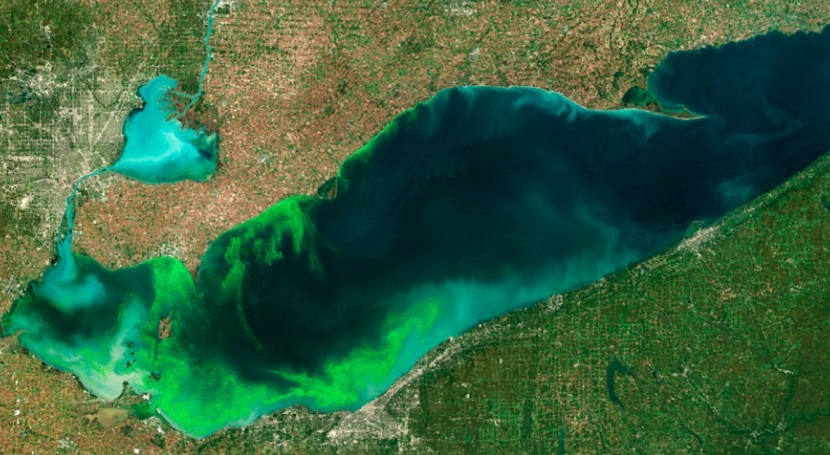 NOAA & partners predict large summer harmful algal bloom for western Lake Erie