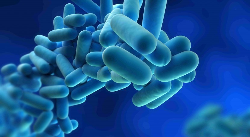 Reducing risk: eliminating legionella fears with smart technology