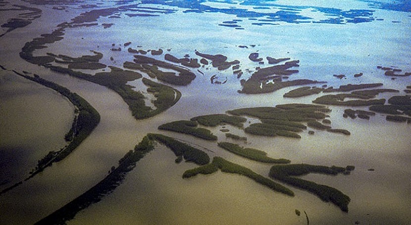 Studies find that river diversions can overcome Louisiana’s rapid sinking