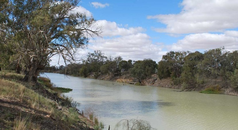 Twenty per cent less water in Murray-Darling rivers than expected under Basin Plan