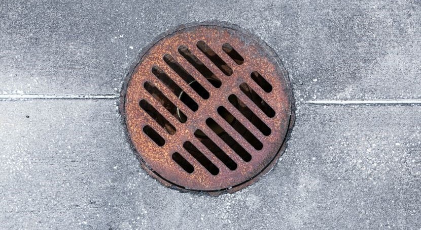 Levels of caffeine may help pinpoint polluting wastewater leaks in storm drain systems