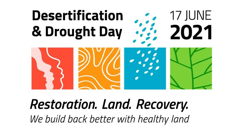 17 June: Desertification and Drought Day