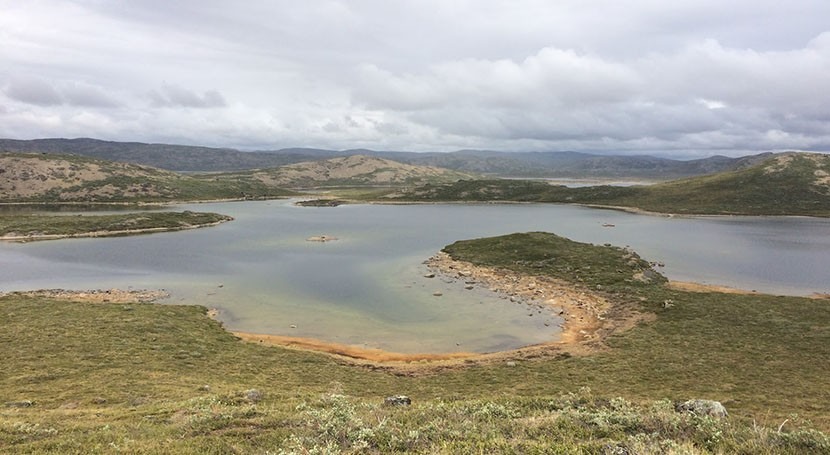 Organic matter accumulation in oxygenated lakes