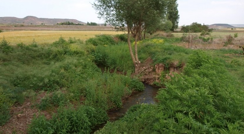 study warns about the ecological impact caused by sediment accumulation in river courses