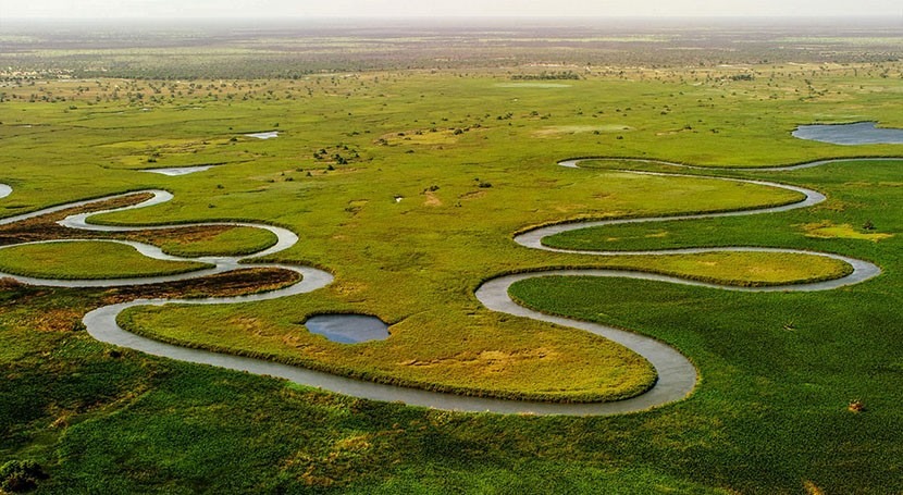 Oil drilling threatens the Okavango River Basin, putting water in Namibia and Botswana at risk