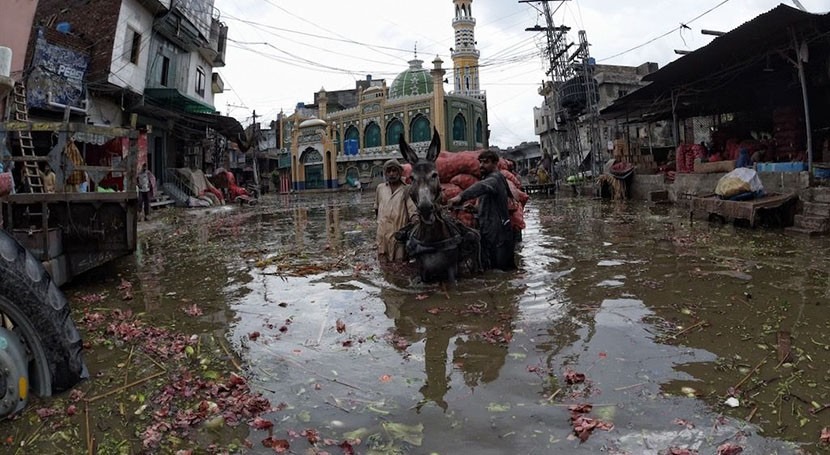 ADB approves $3 million grant to support Pakistan's flood response