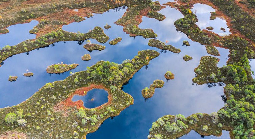 Peatlands worldwide are drying out, threatening to release 860 million tonnes of CO2 every year