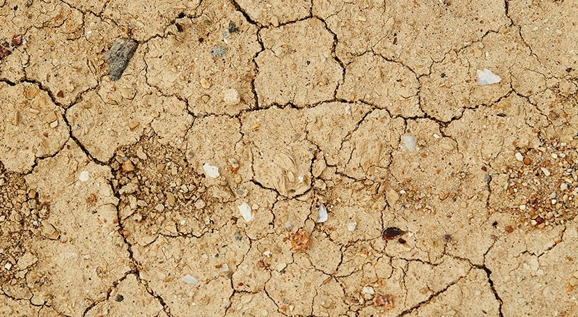 Global study warns water security threatened by droughts and heat waves worldwide