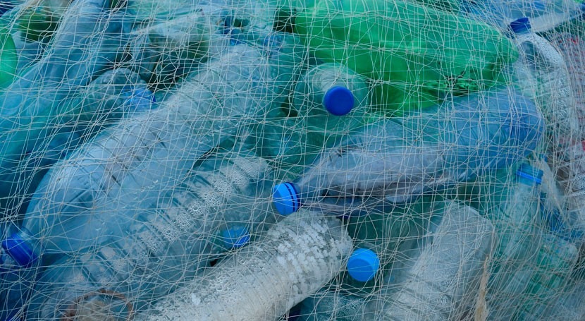 Humans ingest 5 grams of plastic week due to polluted water