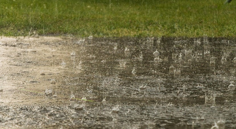 Climate scientists compare global water cycle models for the first time