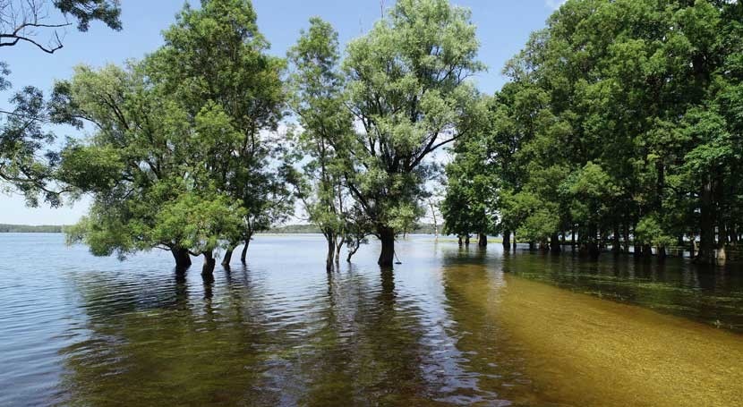 Croatia completes updating of its Wetlands of International Importance