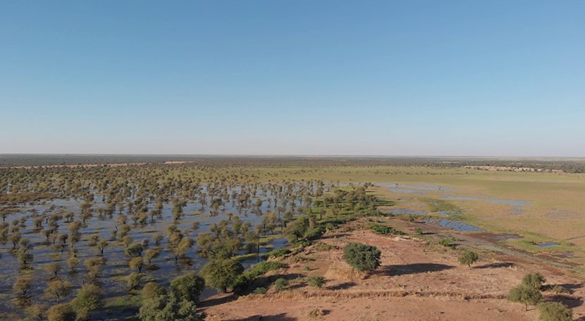 Sudan names Khor Abu Habil Inner Delta as its fourth Wetland of International Importance