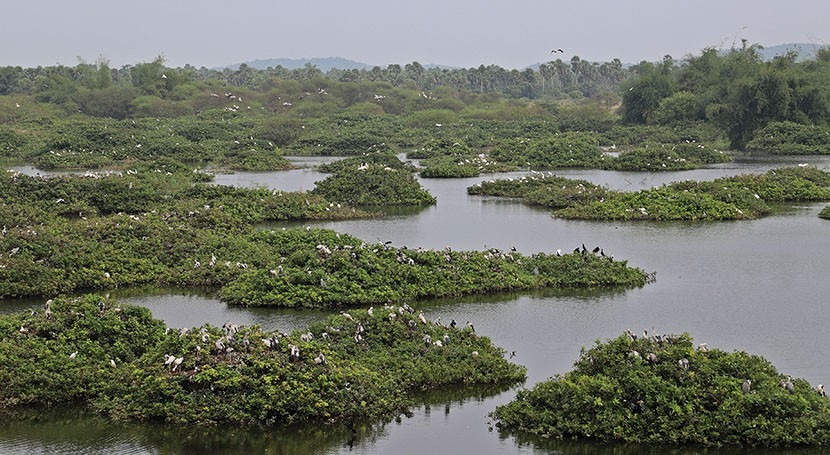 India names 26 new Wetlands of International Importance