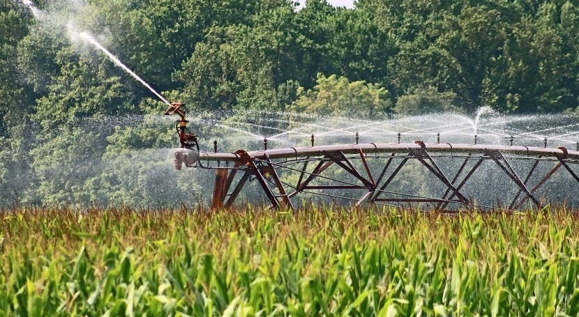 Without trace? Adding mineral to irrigation may lower toxic elements in soils