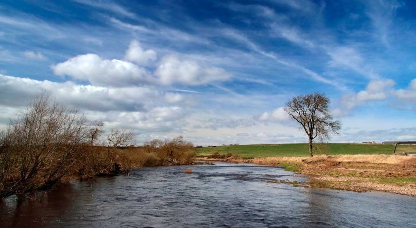 Letting rivers run wild could reduce UK flooding – new research