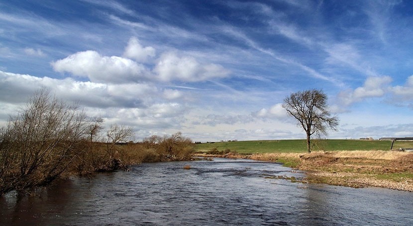 UK water companies told to spell out how they’ll protect river health