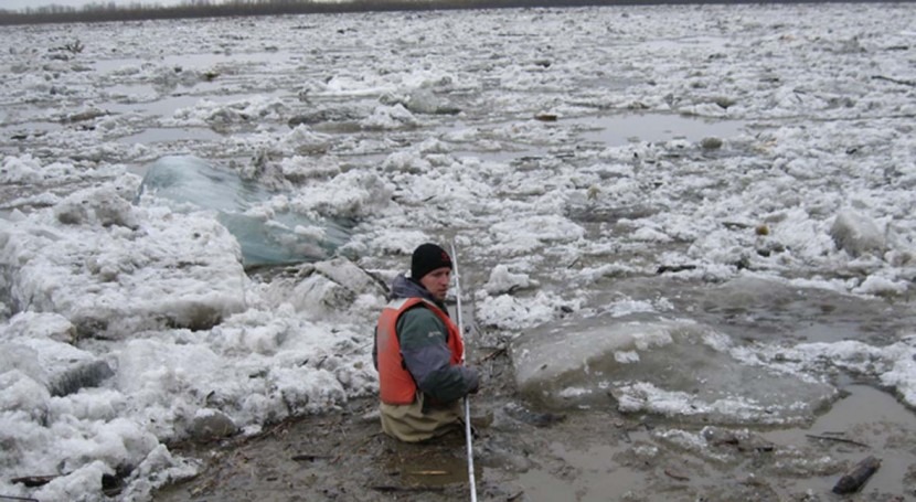 Researchers find decaying biomass in Arctic rivers fuels more carbon export than once thought