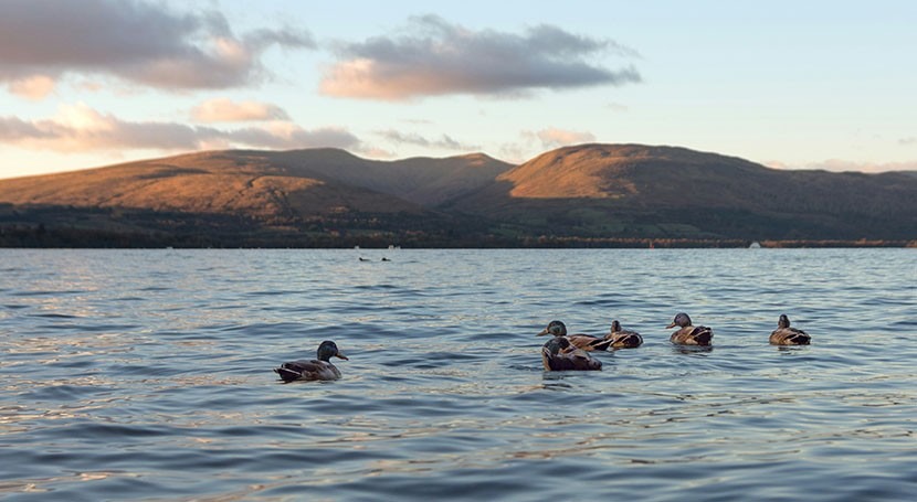 Study raises concerns over rising river temperatures in Scotland