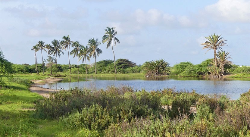 Senegal names Parc National Langue Barbarie as Wetland of International Importance