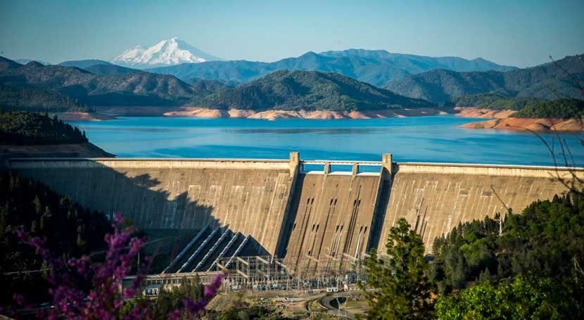 Dams ineffective for cold-water conservation