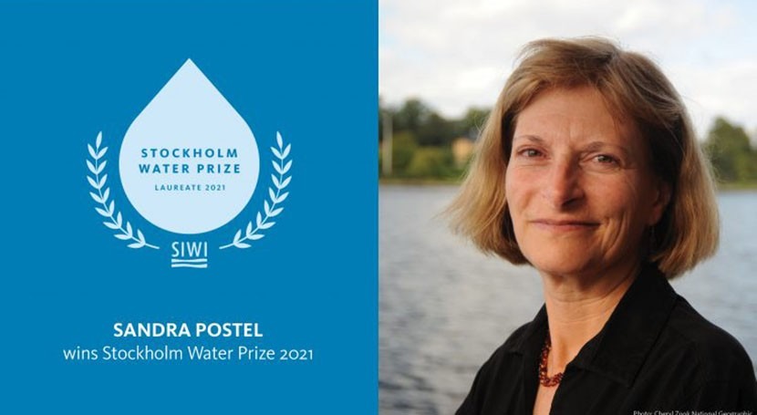 Freshwater thought leader Sandra Postel awarded 2021 Stockholm Water Prize