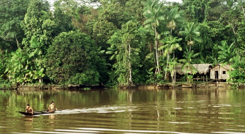 Where is the source of the Amazon river?
