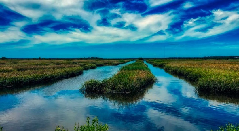 Will marshland keep up with rising seas? Study finds clues in the sediment