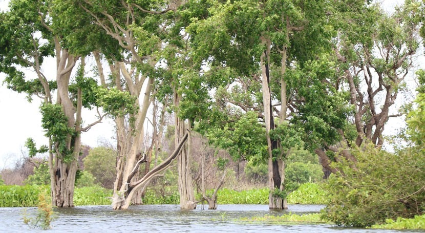Cambodia designates Stung Sen as wetland of international importance
