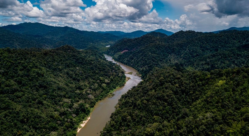 Accelerating renewable revolution can achieve global climate goals without damming world's rivers