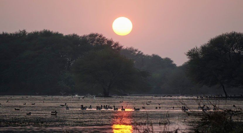 India adds four wetlands to the Ramsar List