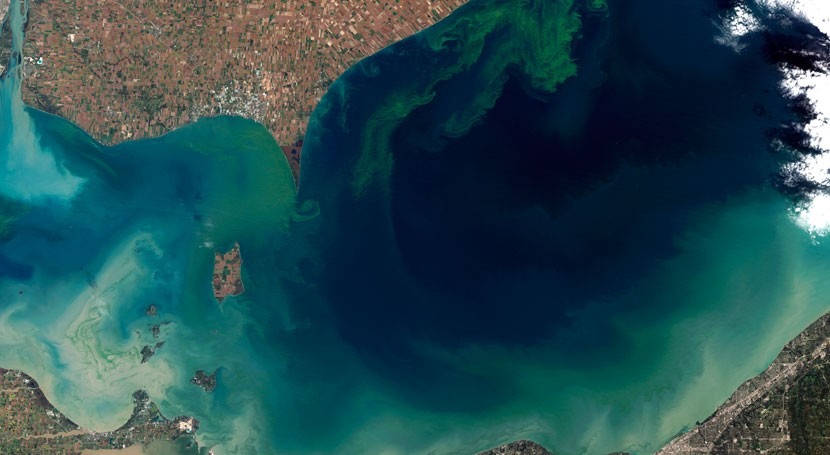 Lake Erie's toxic algae blooms: Why is the water turning green?