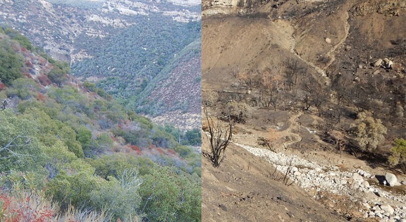 Headwater refuges: Combined effect of drought and fire on stream communities
