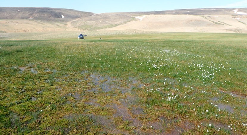 Using the past to unravel the future for Arctic wetlands