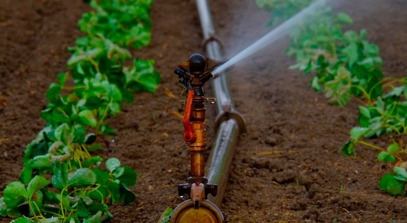 Water reuse for agricultural irrigation: European Council agrees general approach