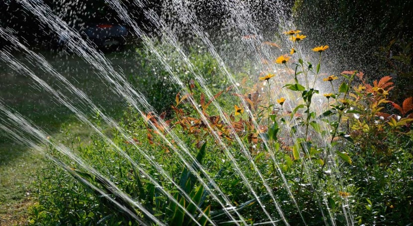 Study: Outdoor watering restrictions only work in hottest and driest weather