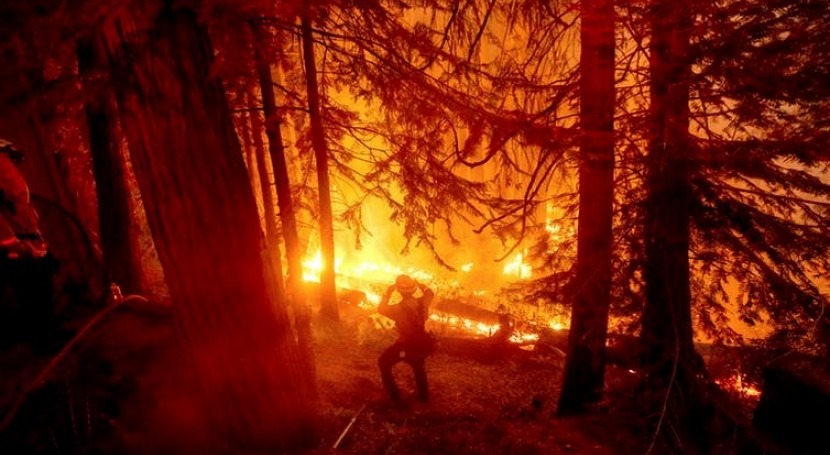 When hotter and drier means more – but eventually less – wildfire