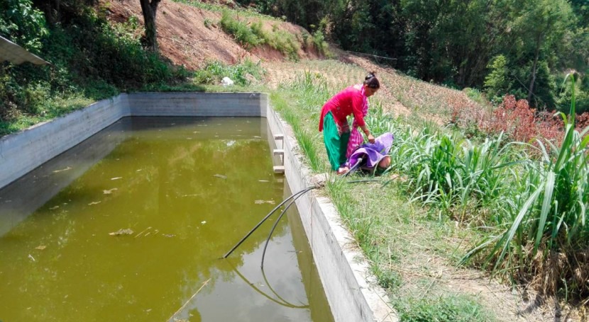 As rains falter, water harvesting quenches Nepal's thirst for irrigation